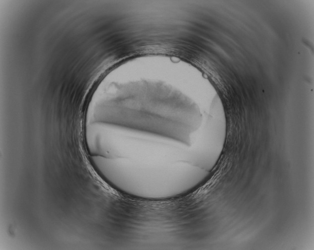 X0000097790992200804041231