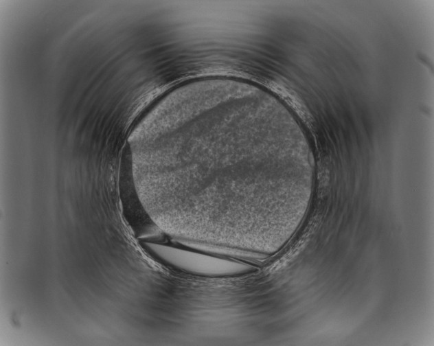 X0000097790993200804041231