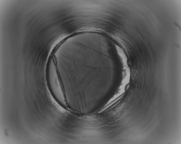 X0000097790995200804041231