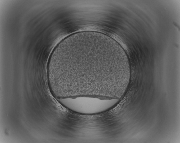 X0000097790996200804041231