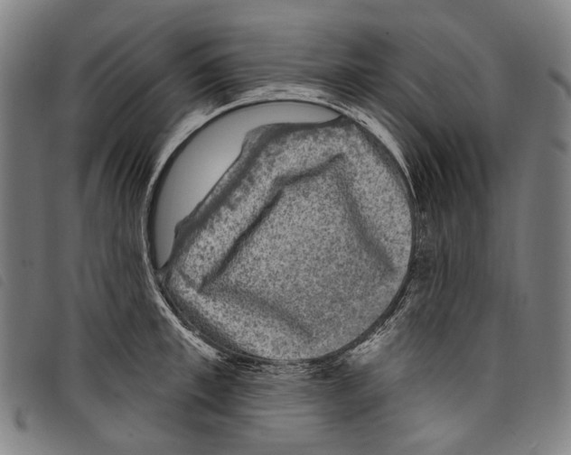 X0000097790997200804041231