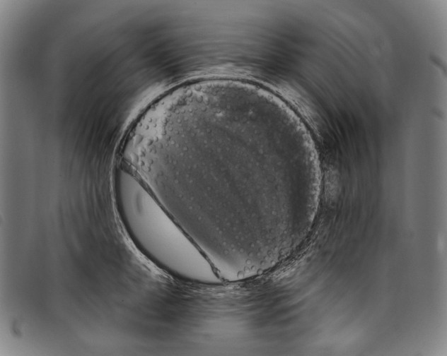 X0000097790998200804041231
