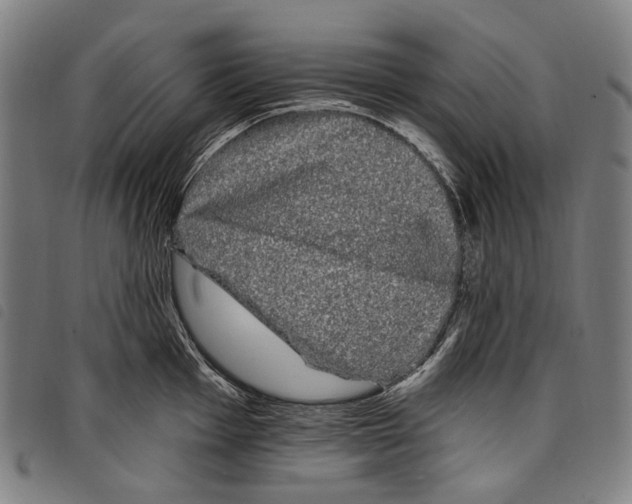 X0000097791001200804041231