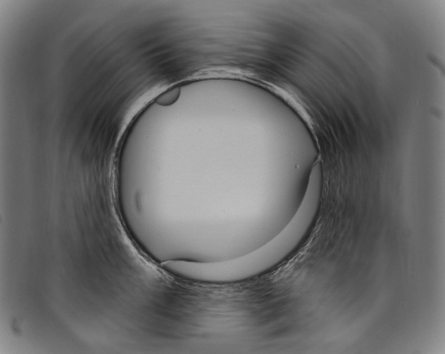 X0000097791003200804041231