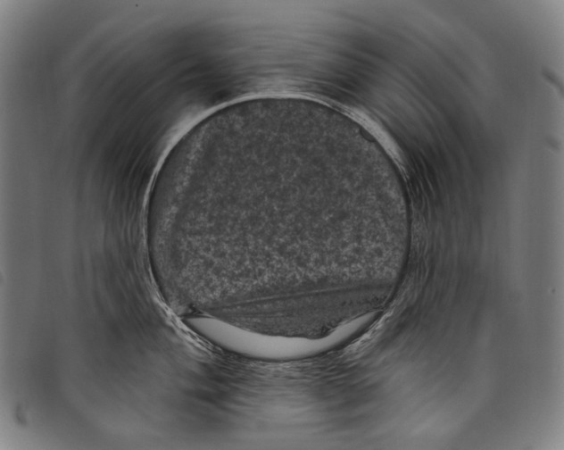 X0000097791004200804041231