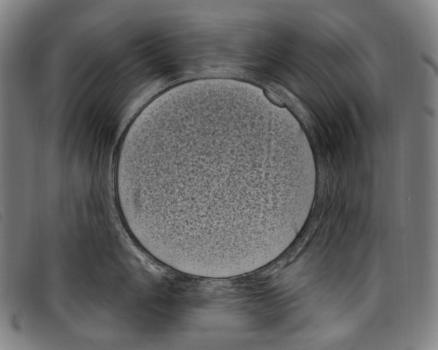 X0000097791006200804041231