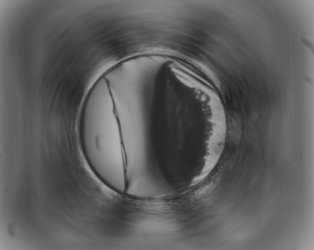X0000097791007200804041231