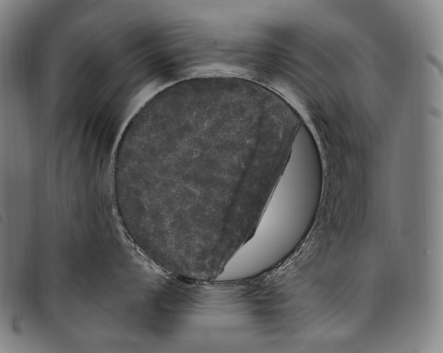 X0000097791008200804041231