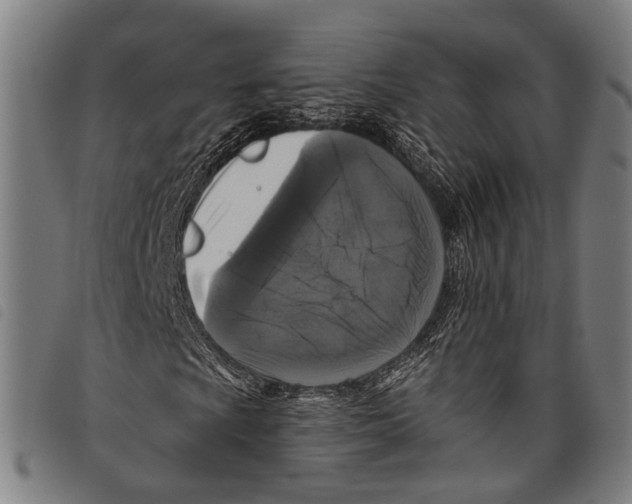 X0000097791009200804041231