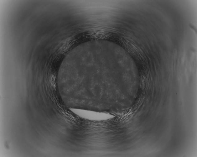 X0000097791010200804041231