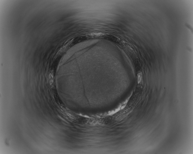 X0000097791011200804041231