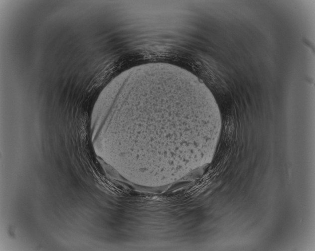 X0000097791012200804041231