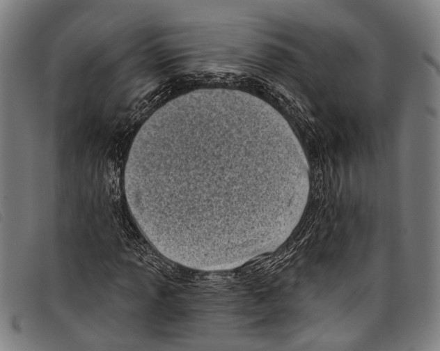 X0000097791013200804041231
