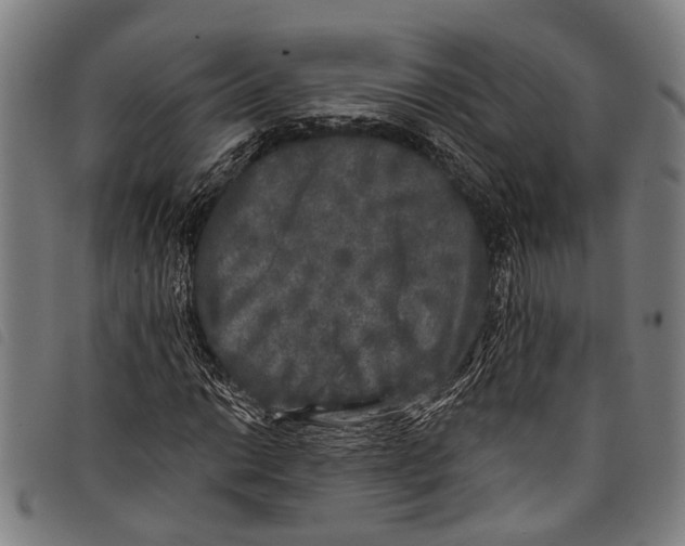X0000097791014200804041231