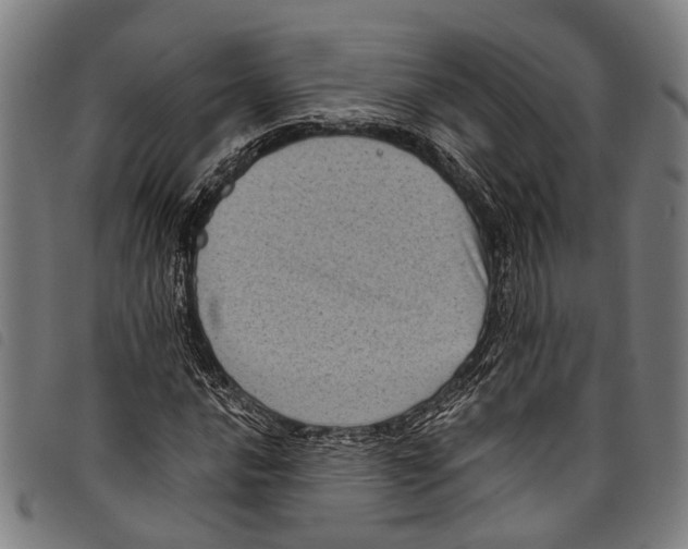 X0000097791016200804041231