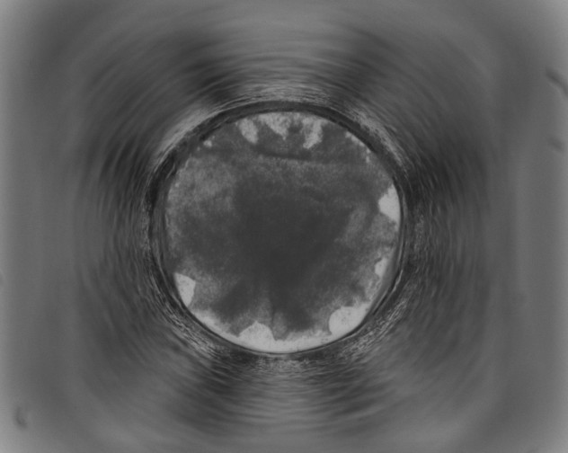 X0000097791019200804041231