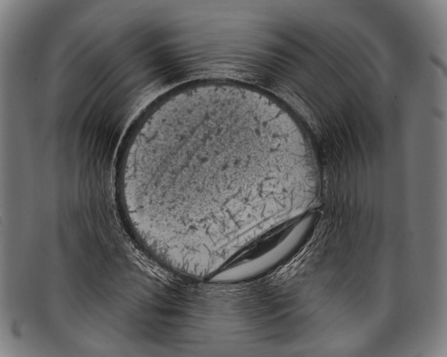 X0000097791020200804041231