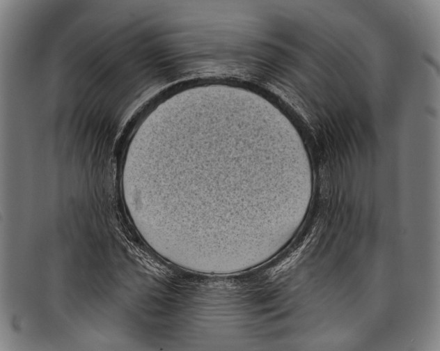X0000097791021200804041231
