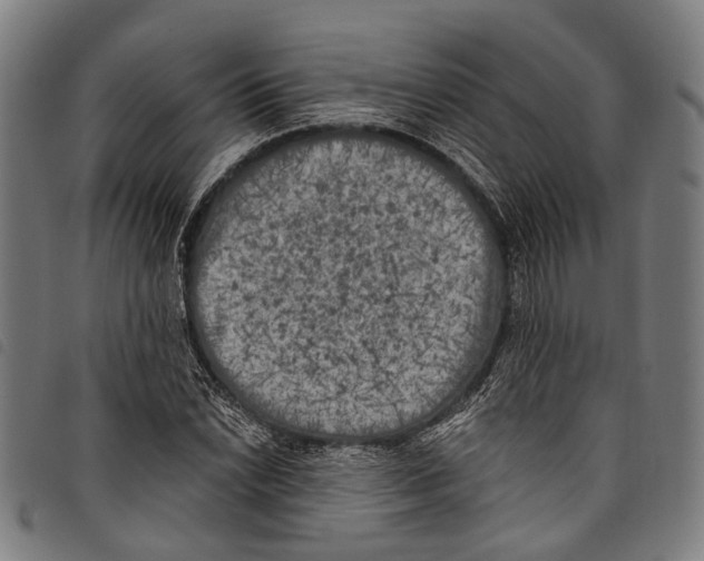 X0000097791022200804041231