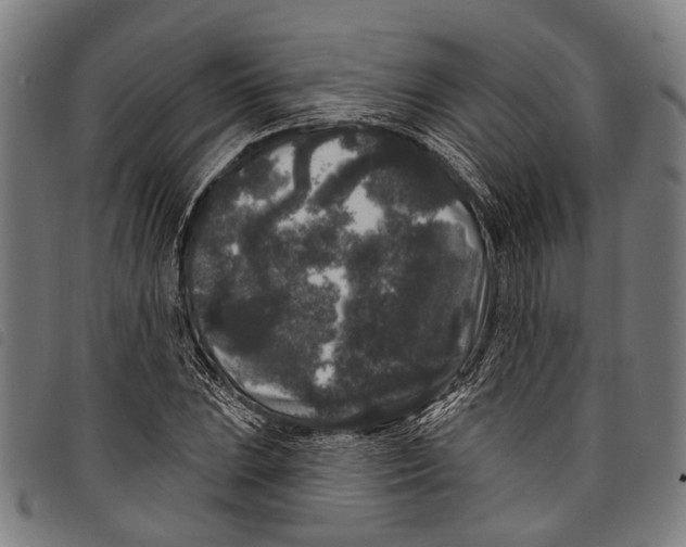 X0000097791023200804041231
