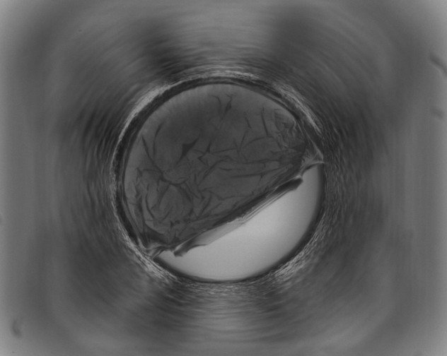 X0000097791024200804041231