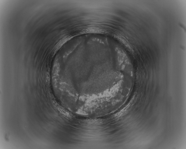 X0000097791025200804041231