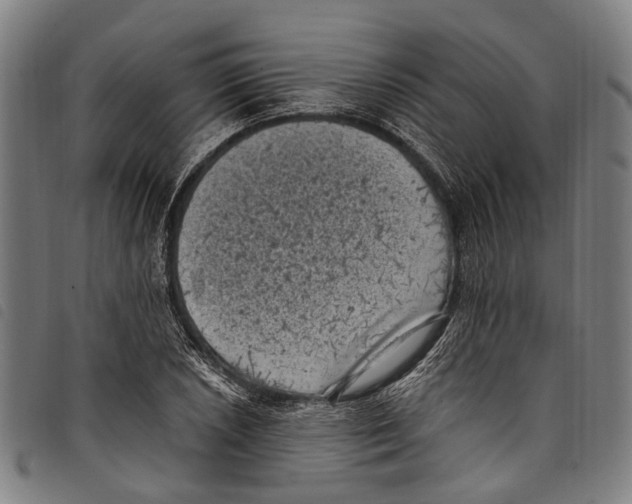 X0000097791026200804041231