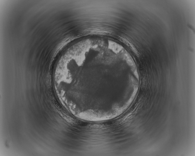 X0000097791027200804041231