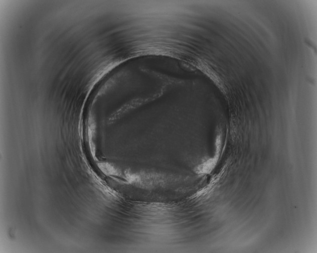 X0000097791028200804041231