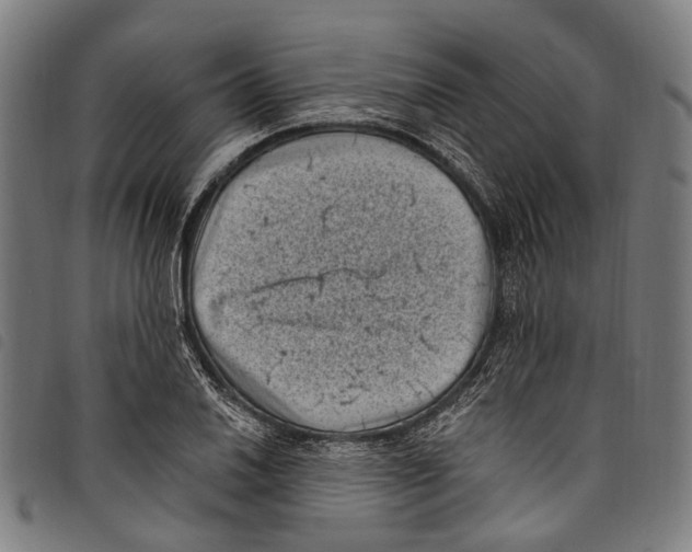 X0000097791030200804041231