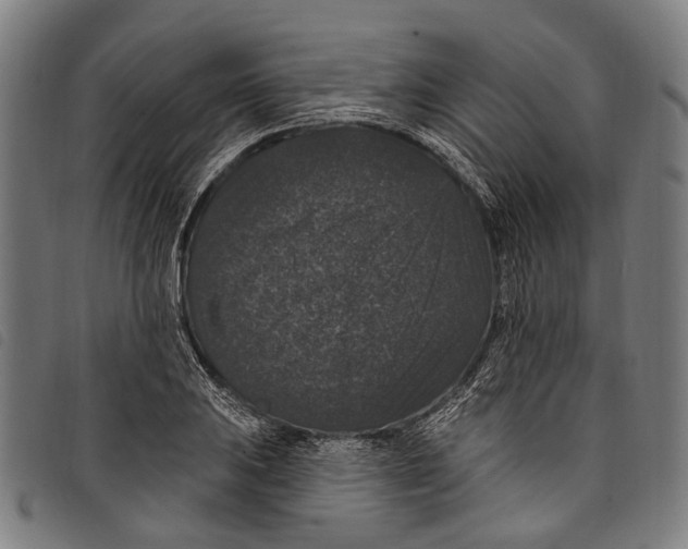 X0000097791031200804041231