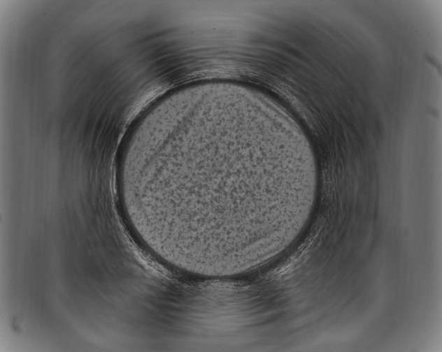 X0000097791034200804041231