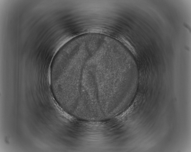 X0000097791036200804041231