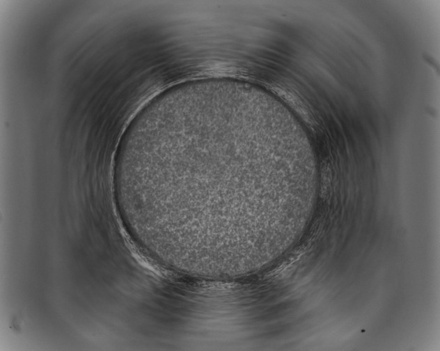 X0000097791039200804041231