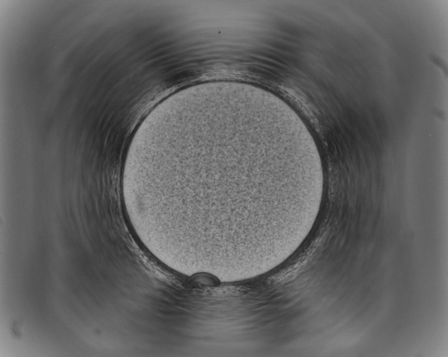 X0000097791041200804041231