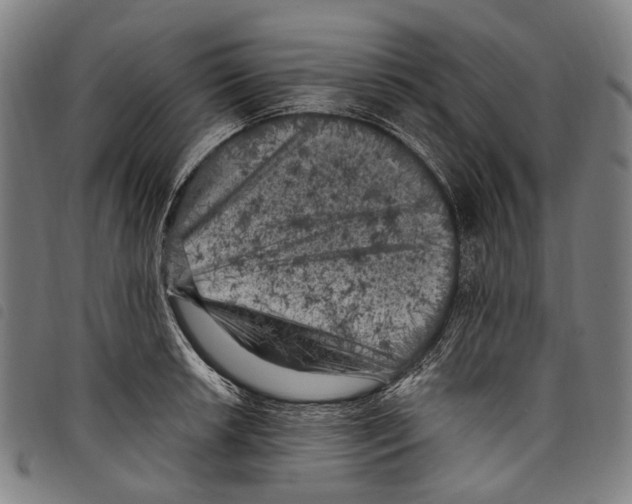 X0000097791042200804041231