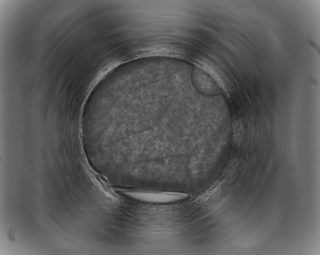X0000097791043200804041231