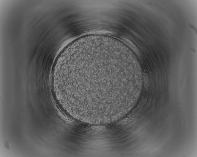 X0000097791044200804041231