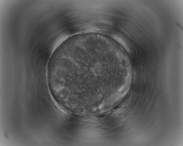 X0000097791047200804041231