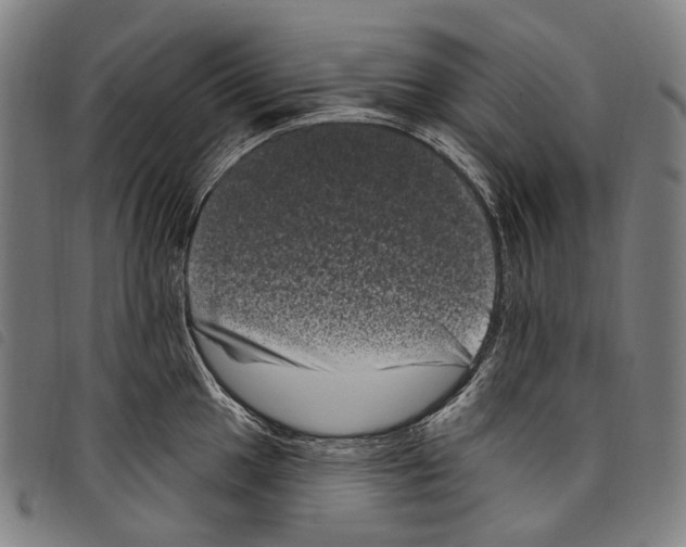 X0000097791049200804041231