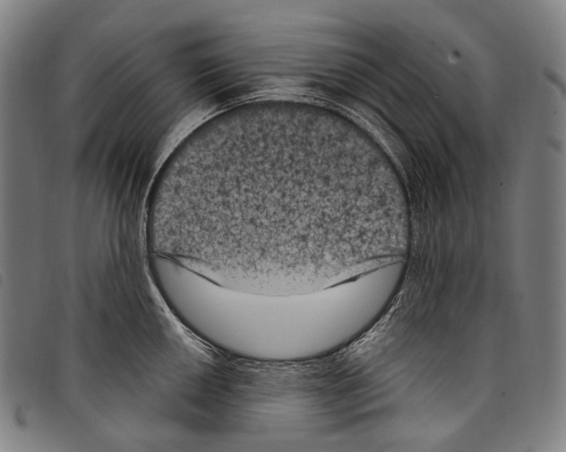 X0000097791050200804041231