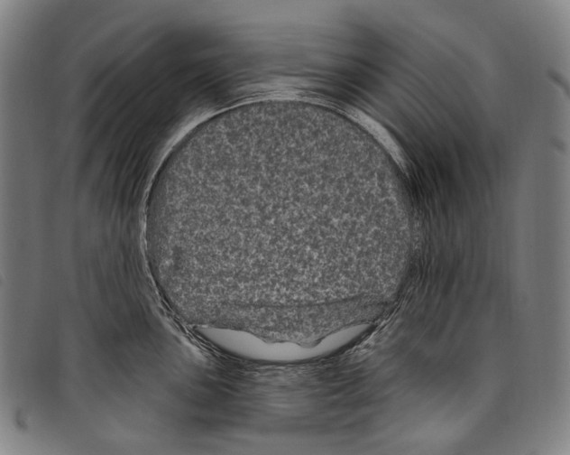 X0000097791051200804041231