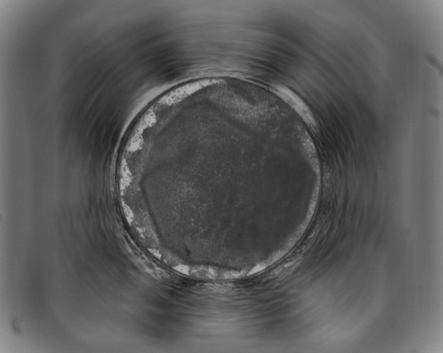 X0000097791052200804041231