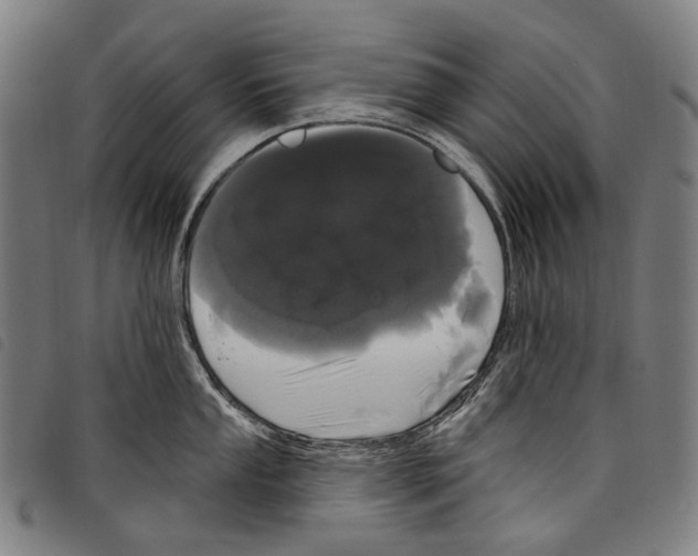 X0000097791053200804041231