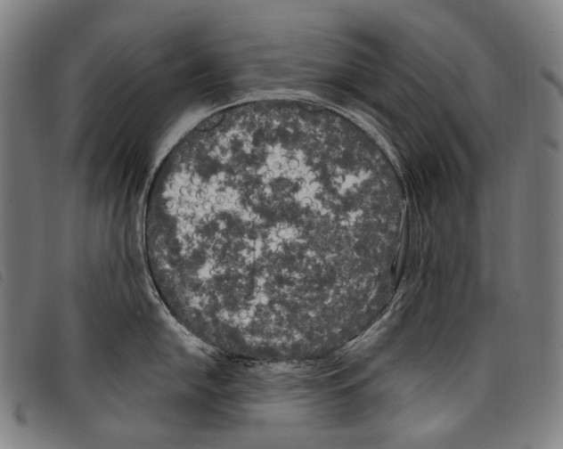 X0000097791054200804041231