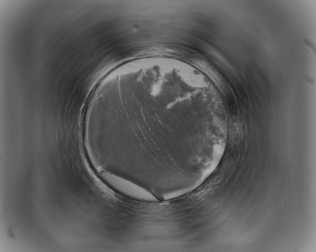 X0000097791055200804041231