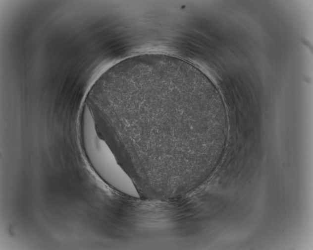 X0000097791056200804041231