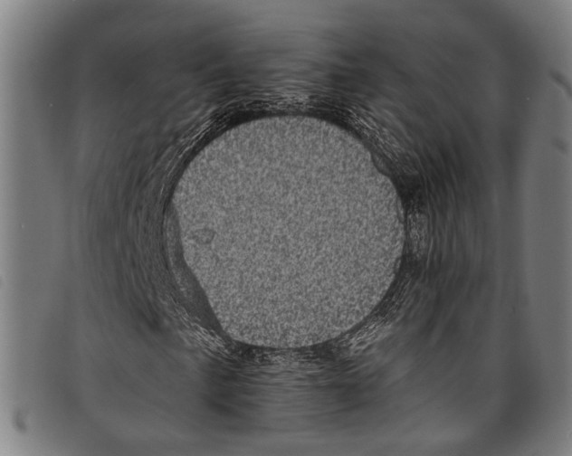 X0000097791057200804041231