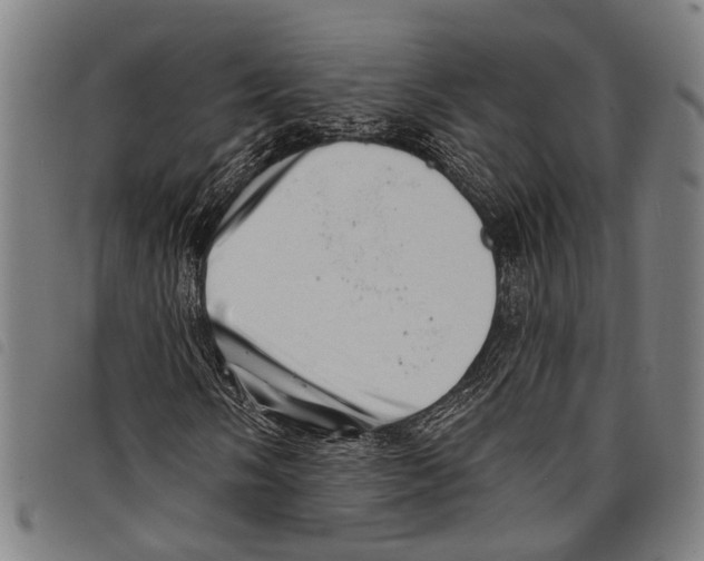 X0000097791058200804041230