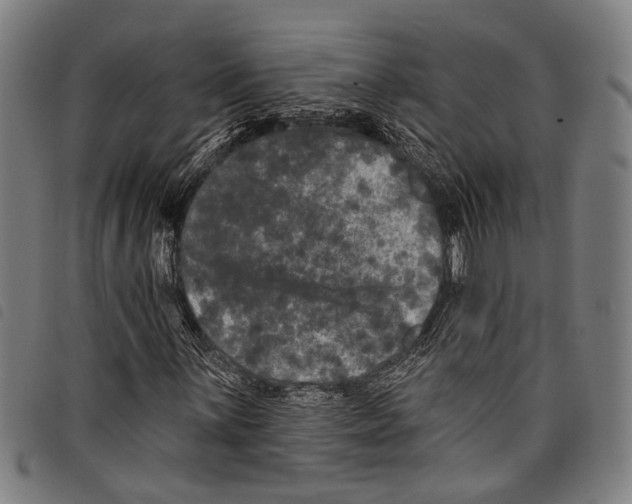 X0000097791059200804041230